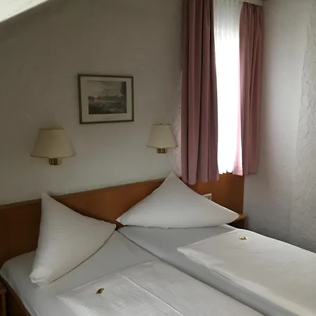 Am Neckar * Nuertingen