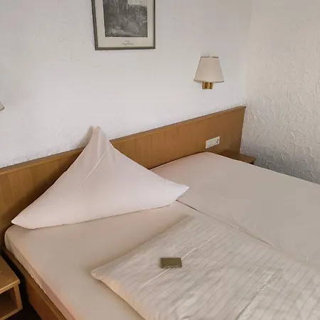 Am Neckar Nuertingen