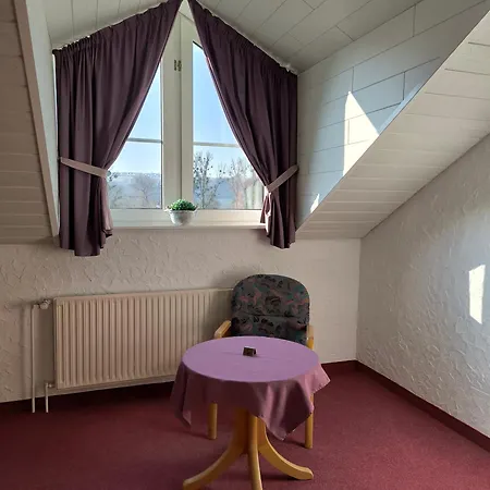 Am Neckar فندق نورتينغن