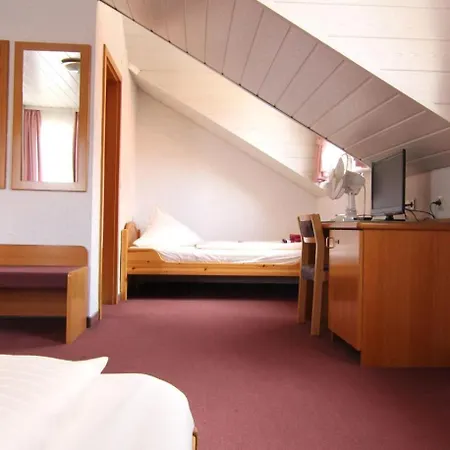 Hotel Am Neckar