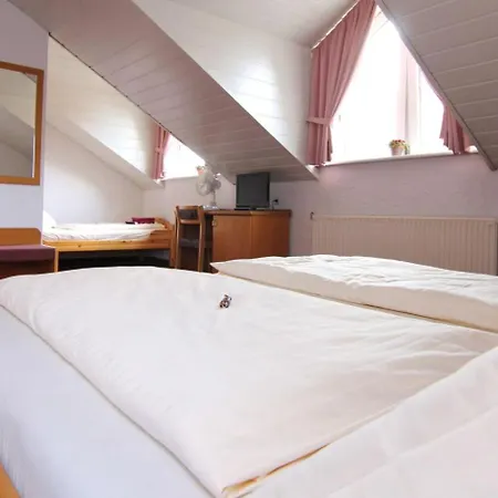 Hotel Am Neckar Nuertingen