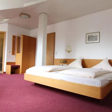 Am Neckar Hotel Nuertingen