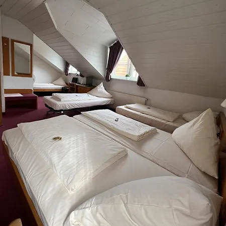 Hotel Am Neckar