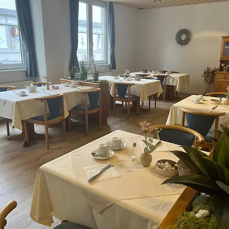 Am Neckar Hotel *