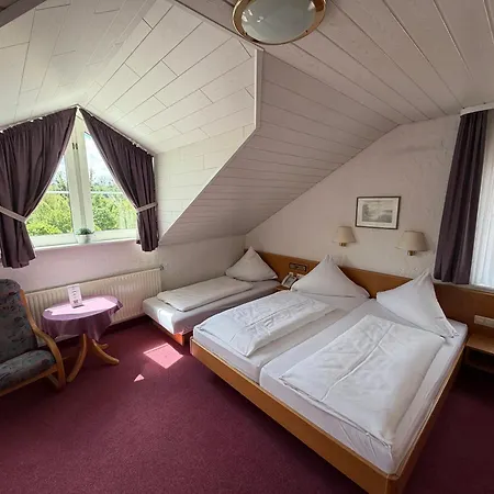 Am Neckar Hotel
