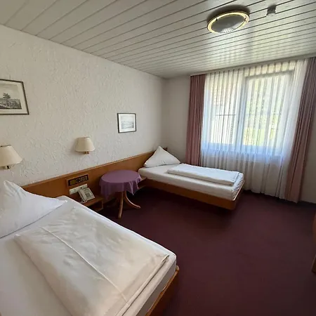 Hotel Am Neckar