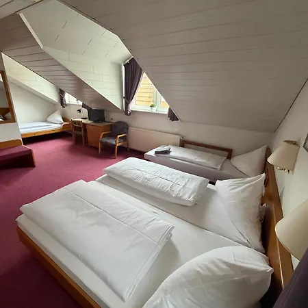 Am Neckar Hotel *