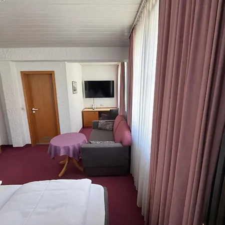 Am Neckar Hotel Nuertingen