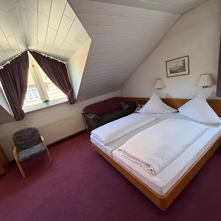Hotel Am Neckar Nuertingen