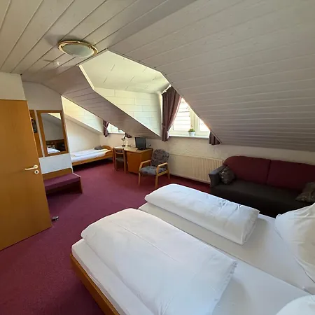 Hotel Am Neckar
