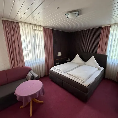 Am Neckar Hotel