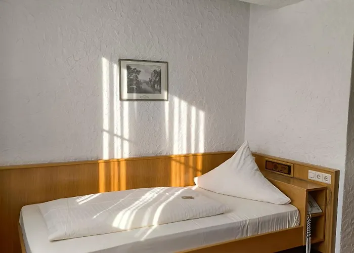 Am Neckar Nuertingen