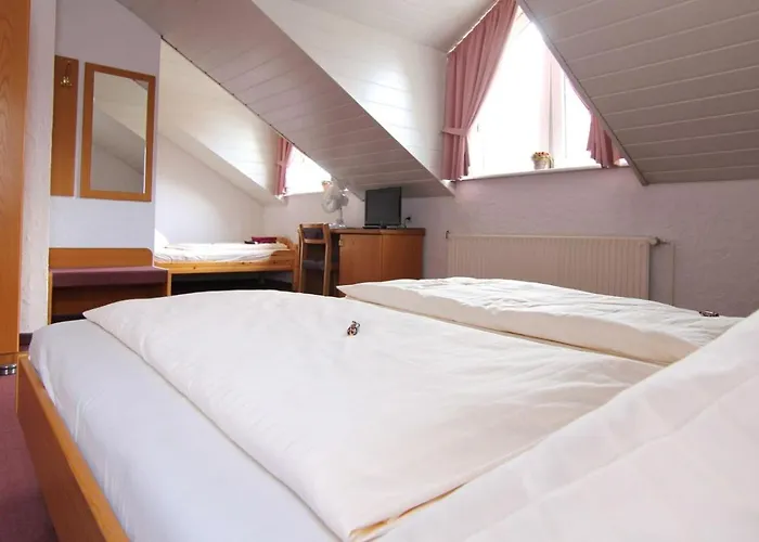 Otel Am Neckar Nuertingen